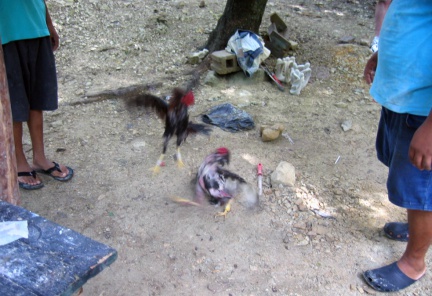 DR-forweb-0956--IMG 1319