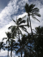 Hawaii-2007-04-30-05-04-032