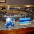 P1010006