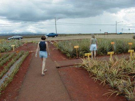 P1010037