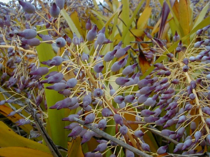 P1010041