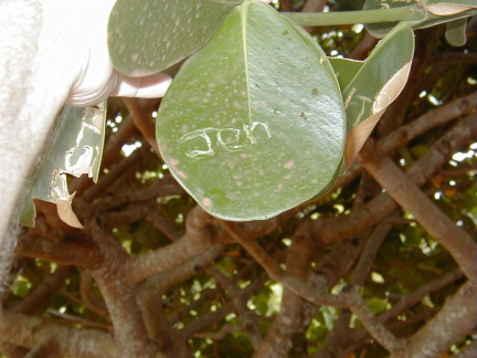 P1010051