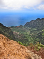 Kauai--Barking-Sands-041