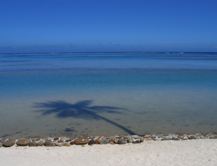 sm-Tahiti-2004-palmtreewater