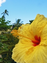 sm-P1040957-F
