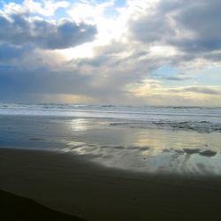 Irish Beach March 2006