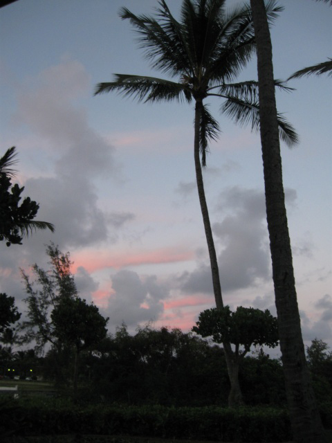 hawaii09-568